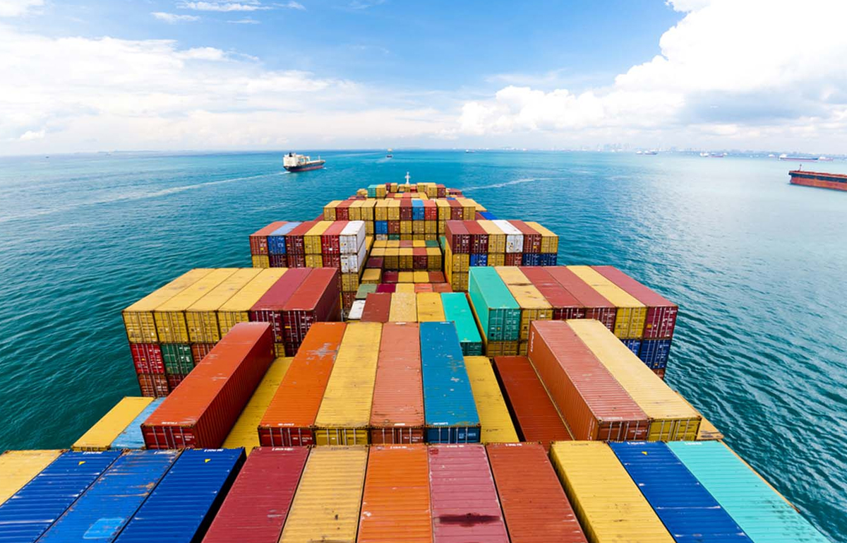 How to Choose the Best Shipping Company in the UAE: A Complete Guide for Businesses